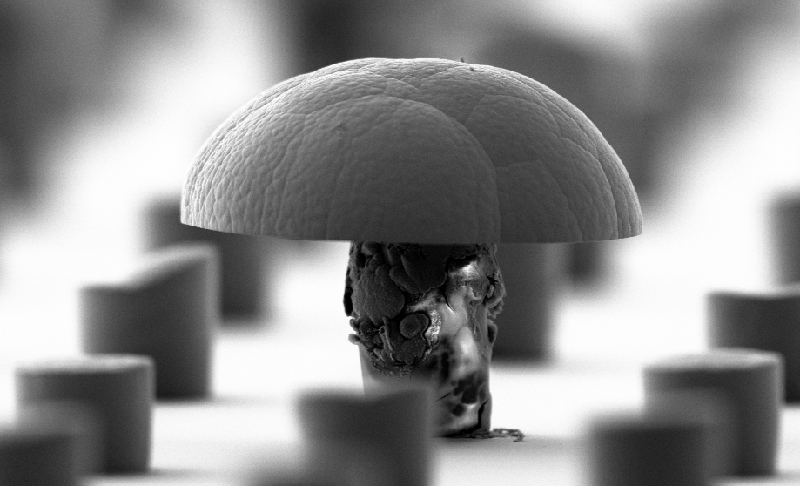 Masked Mushroom