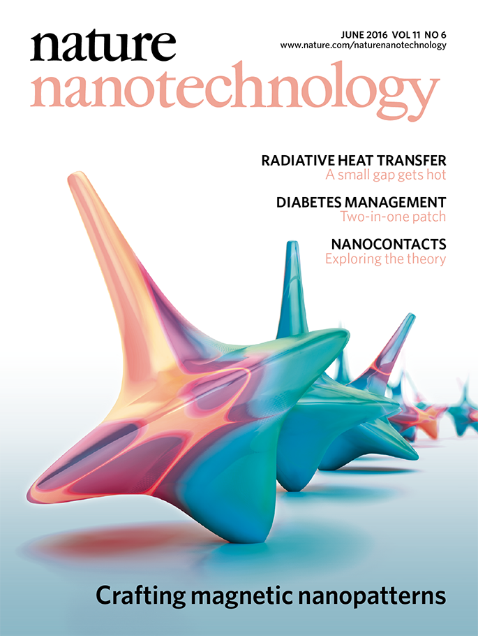 Bertacco_Nat Nanotech_Cover